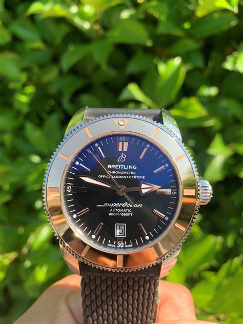 breitling superocean rose